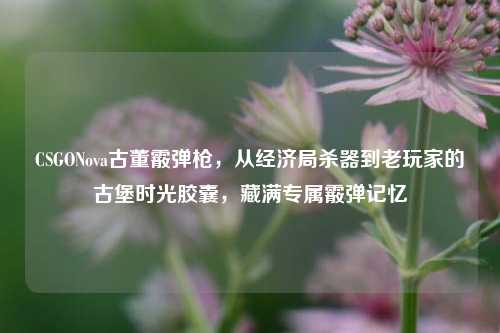 CSGONova古董霰弹枪，从经济局杀器到老玩家的古堡时光胶囊，藏满专属霰弹记忆