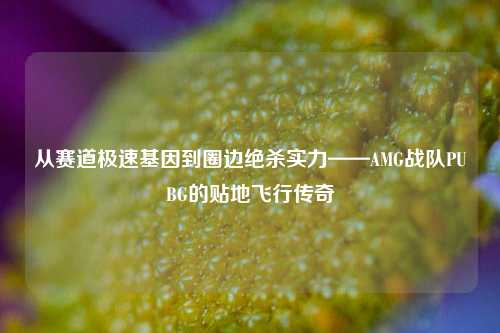 从赛道极速基因到圈边绝杀实力——AMG战队PUBG的贴地飞行传奇