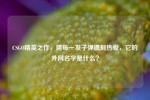 CSGO精英之作，用每一发子弹镌刻热爱，它的外网名字是什么？