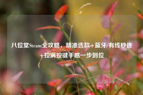 八位堂Steam全攻略,精准选款+蓝牙/有线秒连+拉满按键手感一步到位
