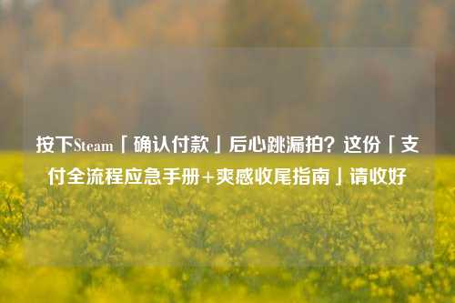按下Steam「确认付款」后心跳漏拍？这份「支付全流程应急手册+爽感收尾指南」请收好