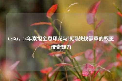 CSGO，14年泰坦全息印花与银河战舰徽章的双重传奇魅力