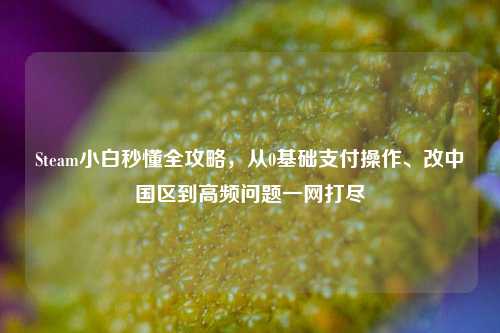 Steam小白秒懂全攻略，从0基础支付操作、改中国区到高频问题一网打尽