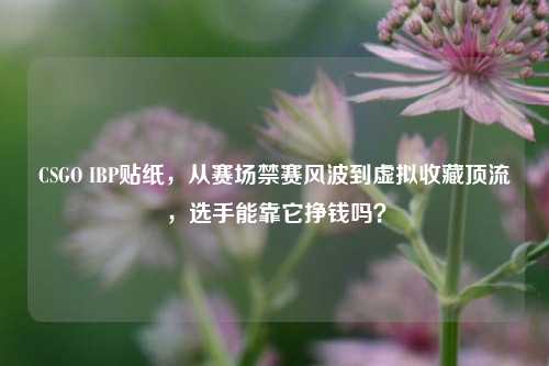 CSGO IBP贴纸，从赛场禁赛风波到虚拟收藏顶流，选手能靠它挣钱吗？