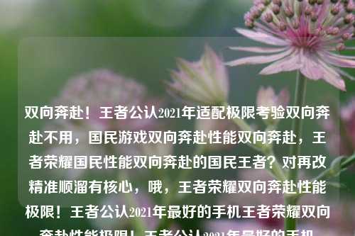双向奔赴！王者公认2021年适配极限考验双向奔赴不用，国民游戏双向奔赴性能双向奔赴，王者荣耀国民性能双向奔赴的国民王者？对再改精准顺溜有核心，哦，王者荣耀双向奔赴性能极限！王者公认2021年更好的手机王者荣耀双向奔赴性能极限！王者公认2021年更好的手机