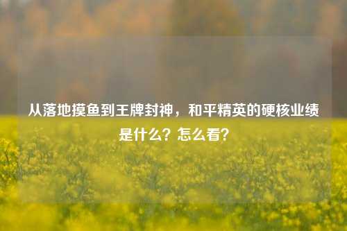 从落地摸鱼到王牌封神，和平精英的硬核业绩是什么？怎么看？