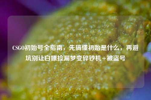 CSGO初始号全指南，先搞懂初始是什么，再避坑别让白嫖捡漏梦变碎钞机+被盗号