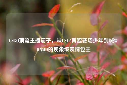 CSGO顶流主播茄子，从CS1.6青涩赛场少年到喊WDNMD的现象级表情包王