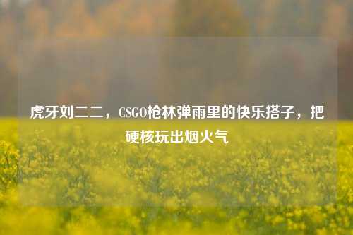 虎牙刘二二，CSGO枪林弹雨里的快乐搭子，把硬核玩出烟火气