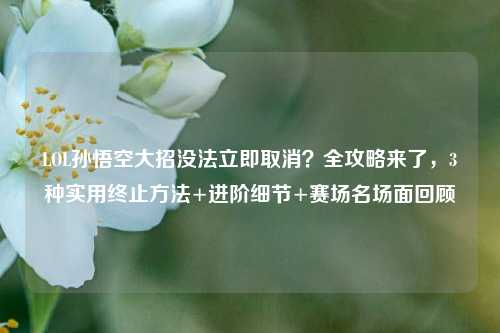LOL孙悟空大招没法立即取消？全攻略来了，3种实用终止 *** +进阶细节+赛场名场面回顾