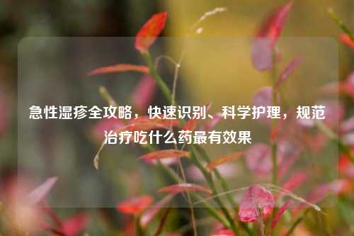 急性湿疹全攻略，快速识别、科学护理，规范治疗吃什么药最有效果