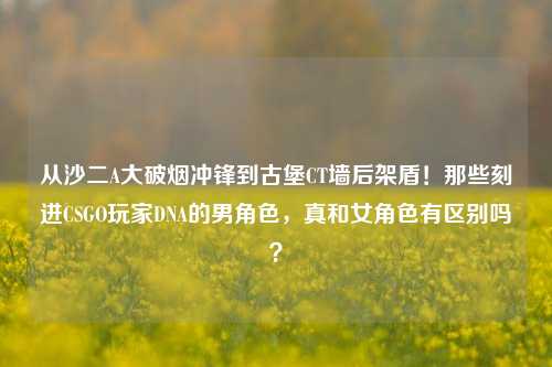 从沙二A大破烟冲锋到古堡CT墙后架盾！那些刻进CSGO玩家DNA的男角色，真和女角色有区别吗？