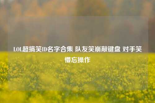 LOL超搞笑ID名字合集 队友笑崩敲键盘 对手笑懵忘操作