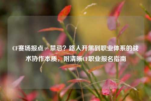 CF赛场报点≠禁忌？路人开黑到职业体系的战术协作本质，附清晰CF职业报名指南