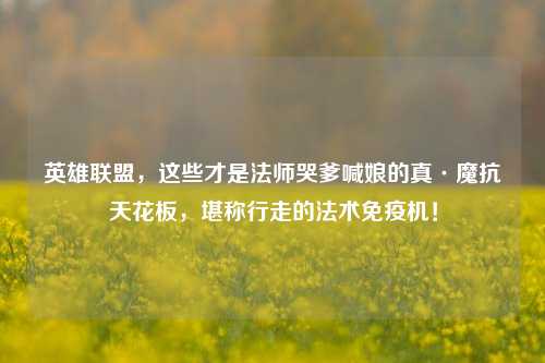 英雄联盟，这些才是法师哭爹喊娘的真·魔抗天花板，堪称行走的法术免疫机！
