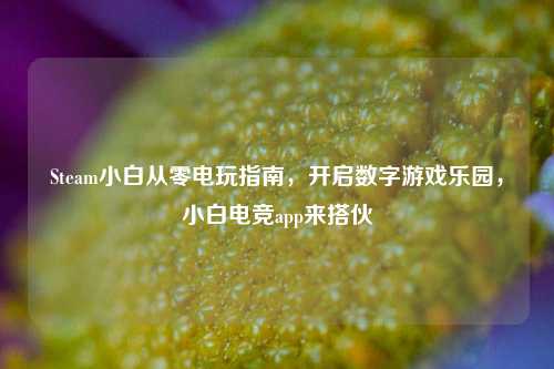 Steam小白从零电玩指南，开启数字游戏乐园，小白电竞app来搭伙