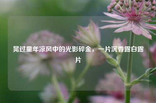晃过童年凉风中的光影碎金，一片沉香露白露片