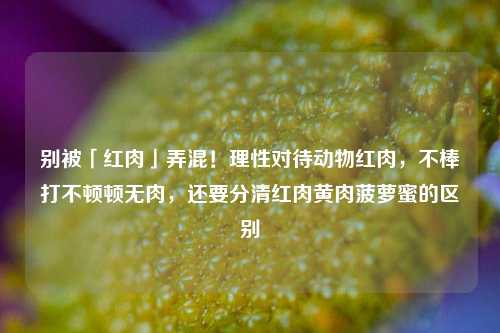 别被「红肉」弄混！理性对待动物红肉，不棒打不顿顿无肉，还要分清红肉黄肉菠萝蜜的区别