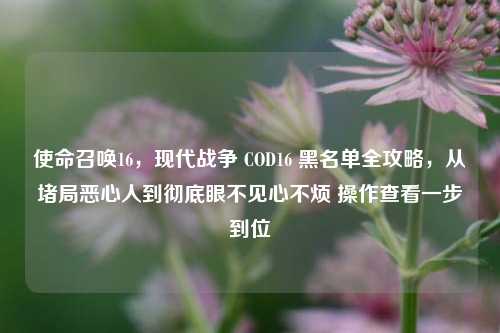 使命召唤16，现代战争 COD16 黑名单全攻略，从堵局恶心人到彻底眼不见心不烦 操作查看一步到位