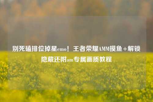 别死磕排位掉星emo！王者荣耀AMM摸鱼+解锁隐藏还附am专属画质教程