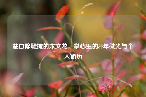 巷口修鞋摊的宋文龙，掌心里的30年微光与个人简历