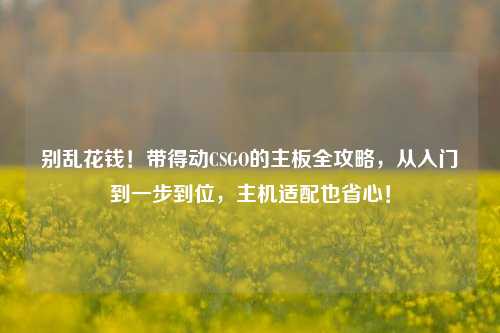 别乱花钱！带得动CSGO的主板全攻略，从入门到一步到位，主机适配也省心！