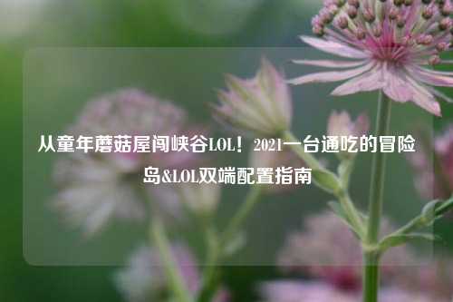 从童年蘑菇屋闯峡谷LOL！2021一台通吃的冒险岛&LOL双端配置指南