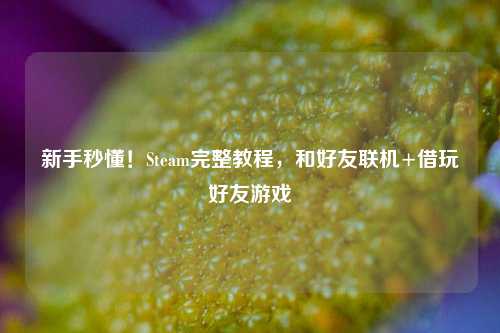 新手秒懂！Steam完整教程，和好友联机+借玩好友游戏