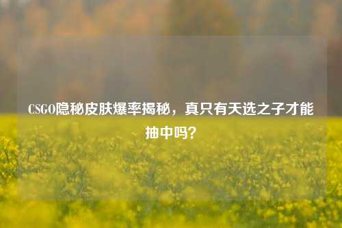 CSGO隐秘皮肤爆率揭秘，真只有天选之子才能抽中吗？