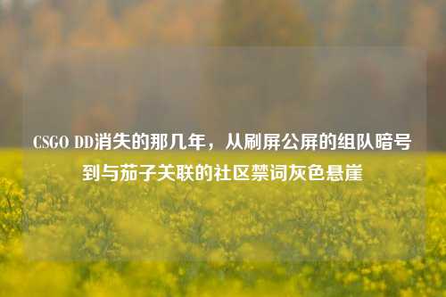 CSGO DD消失的那几年，从刷屏公屏的组队暗号到与茄子关联的社区禁词灰色悬崖