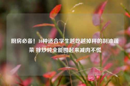 厨房必备！10种适合学生越吃越掉秤的刮油蔬菜 拌炒炖全能囤起来减肉不慌
