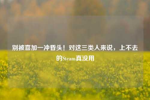 别被喜加一冲昏头！对这三类人来说，上不去的Steam真没用