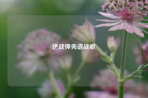 逆战弹壳谱战歌