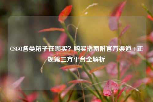 CSGO各类箱子在哪买？购买指南附官方渠道+正规第三方平台全解析