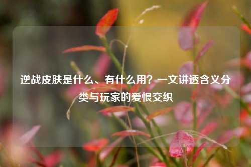 逆战皮肤是什么、有什么用?一文讲透含义分类与玩家的爱恨交织