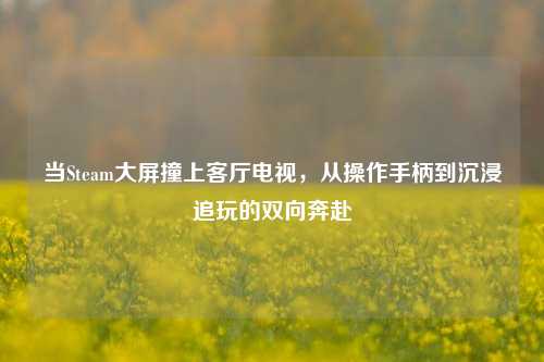 当Steam大屏撞上客厅电视,从操作手柄到沉浸追玩的双向奔赴