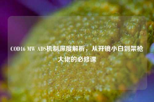 COD16 MW ADS机制深度解析,从开镜小白到架枪大佬的必修课