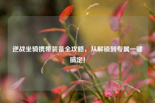 逆战坐骑携带装备全攻略，从解锁到专属一键搞定！
