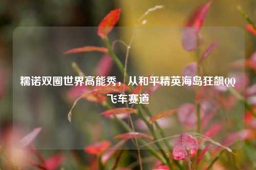 糯诺双圈世界高能秀,从和平精英海岛狂飙 *** 飞车赛道