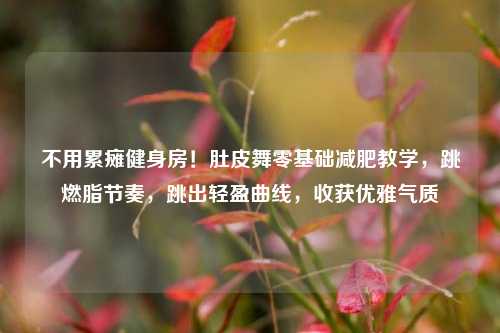 不用累瘫健身房！肚皮舞零基础减肥教学，跳燃脂节奏，跳出轻盈曲线，收获优雅气质
