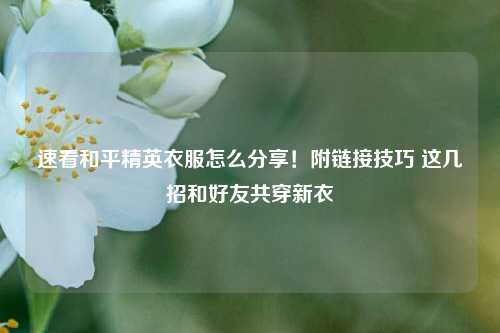 速看和平精英衣服怎么分享!附链接技巧 这几招和好友共穿新衣