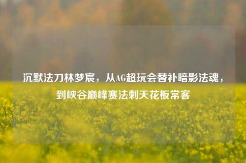 沉默法刀林梦宸,从AG超玩会替补暗影法魂,到峡谷巅峰赛法刺天花板常客