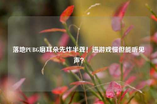 落地PUBG磨耳朵先炸半聋!进游戏慢但能听见声?