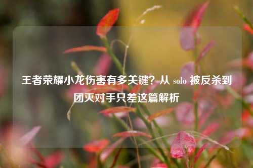 王者荣耀小龙伤害有多关键？从 solo 被反杀到团灭对手只差这篇解析