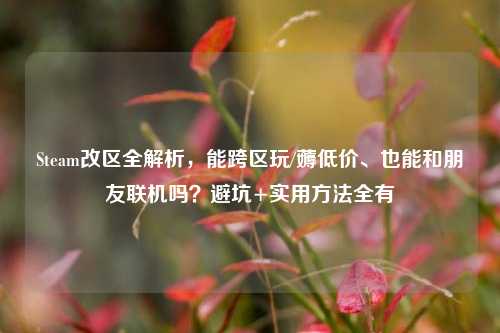 Steam改区全解析，能跨区玩/薅低价、也能和朋友联机吗？避坑+实用 *** 全有