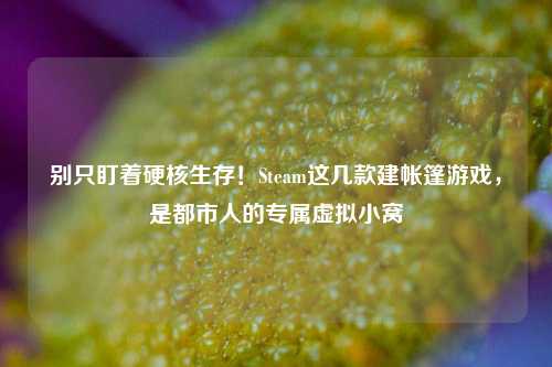 别只盯着硬核生存！Steam这几款建帐篷游戏，是都市人的专属虚拟小窝