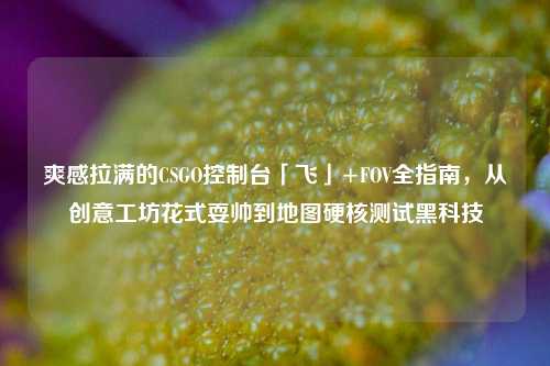 爽感拉满的CSGO控制台「飞」+FOV全指南,从创意工坊花式耍帅到地图硬核测试黑科技
