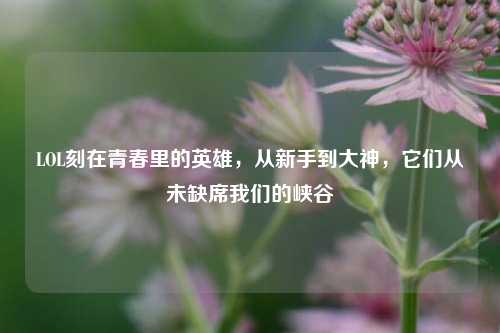LOL刻在青春里的英雄,从新手到大神,它们从未缺席我们的峡谷