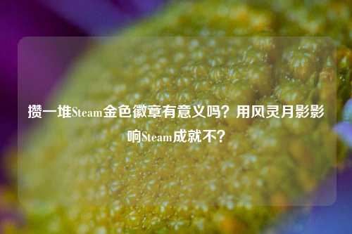 攒一堆Steam金色徽章有意义吗?用风灵月影影响Steam成就不?