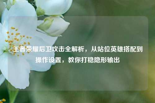 王者荣耀后卫攻击全解析,从站位英雄搭配到操作设置,教你打稳隐形输出
